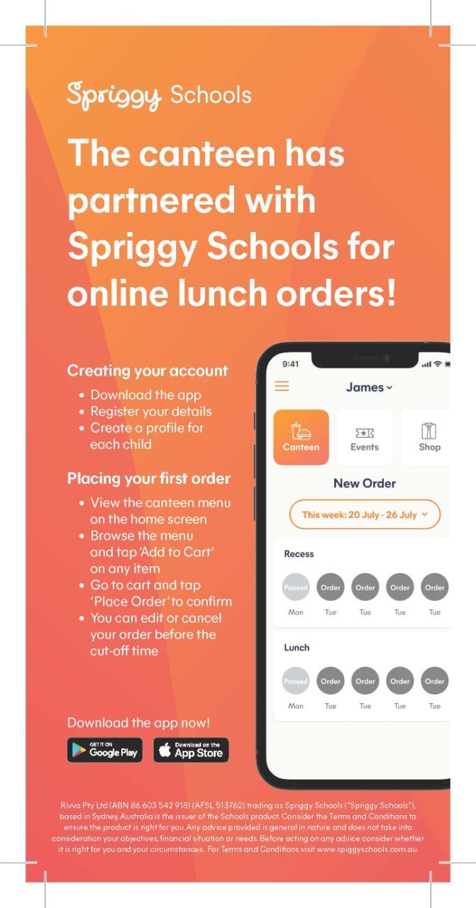 Spriggy flyer